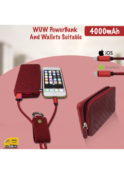 WUW 4000mAh PowerBank And Wallets Suitable For Apple Iphone 7-6-6s & Samsung With Lightning Cable, Y04